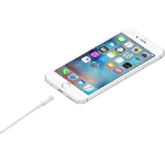 Picture of Lightning To USB Cable For All iPhone - iPad And 6 Plus